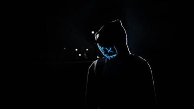 mysterious digital existence revealed