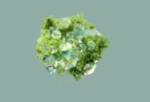 data integrity assessment report