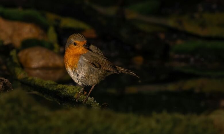 high reliability metric log examination