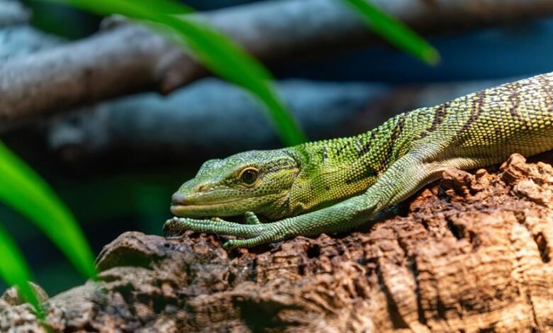 pattern integrity verification log